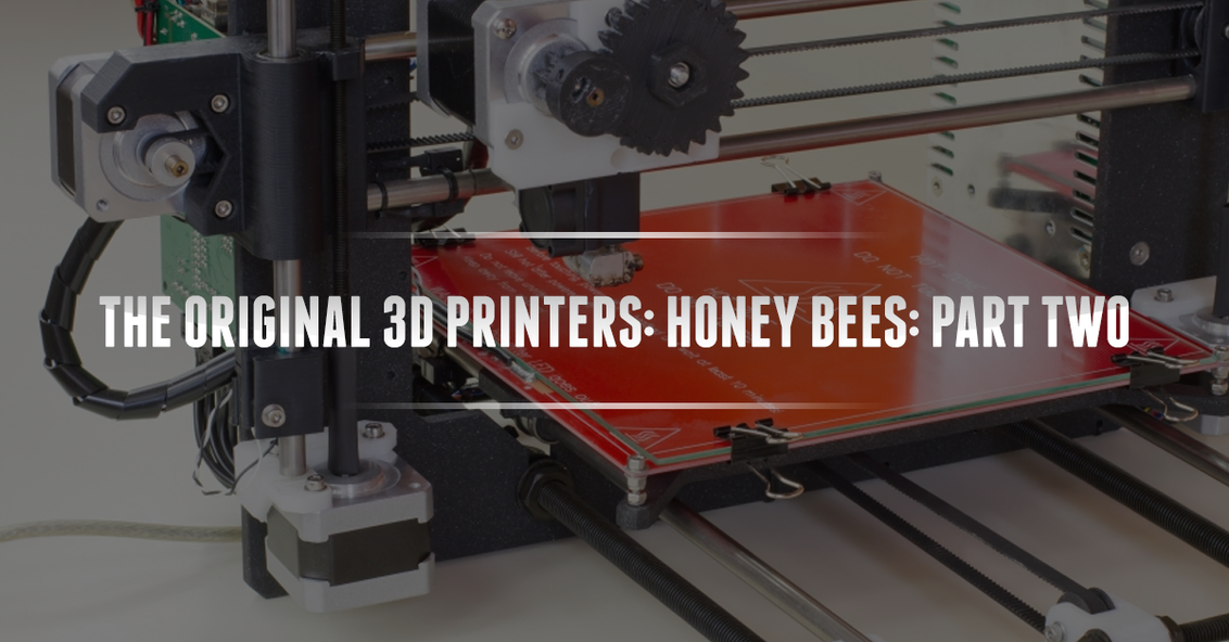 The Original 3D Printers: Honey Bees Part Two