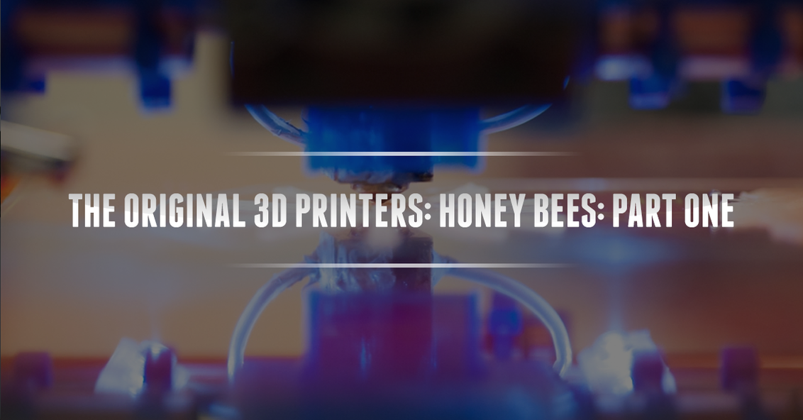 The Original 3D Printers: Honey Bees: Part One